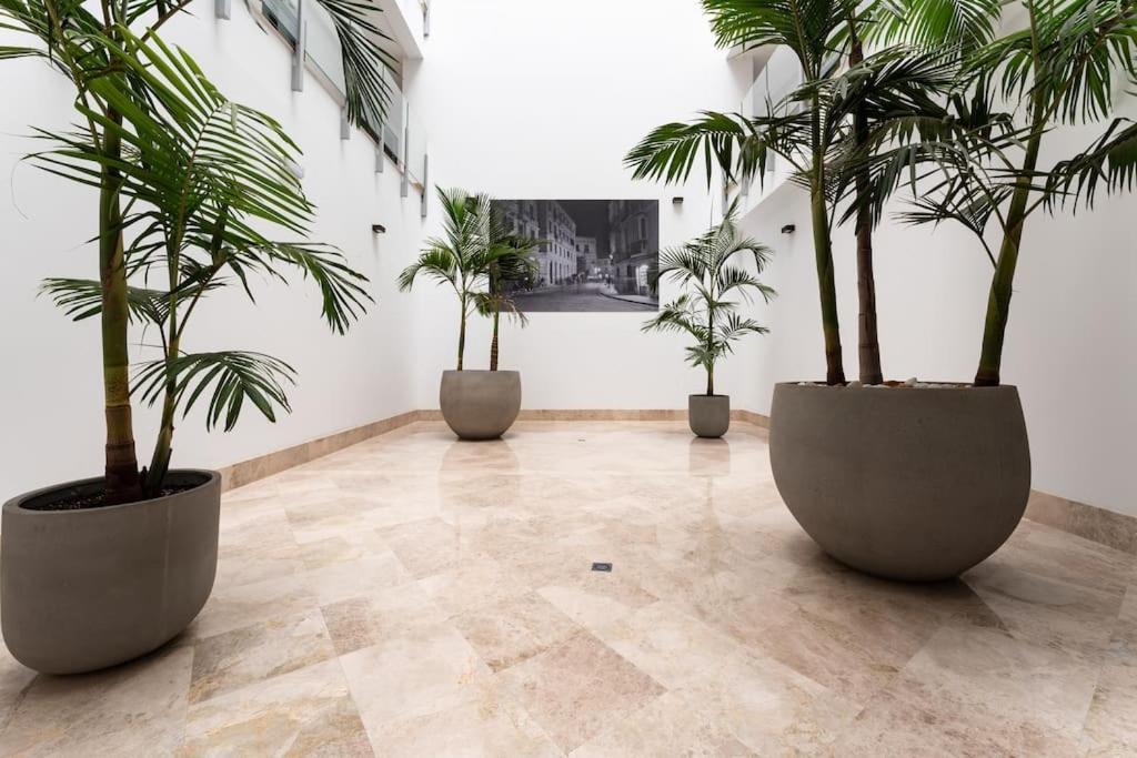 Premium Flat In Malaga Center With Free Parking Apartman Kültér fotó